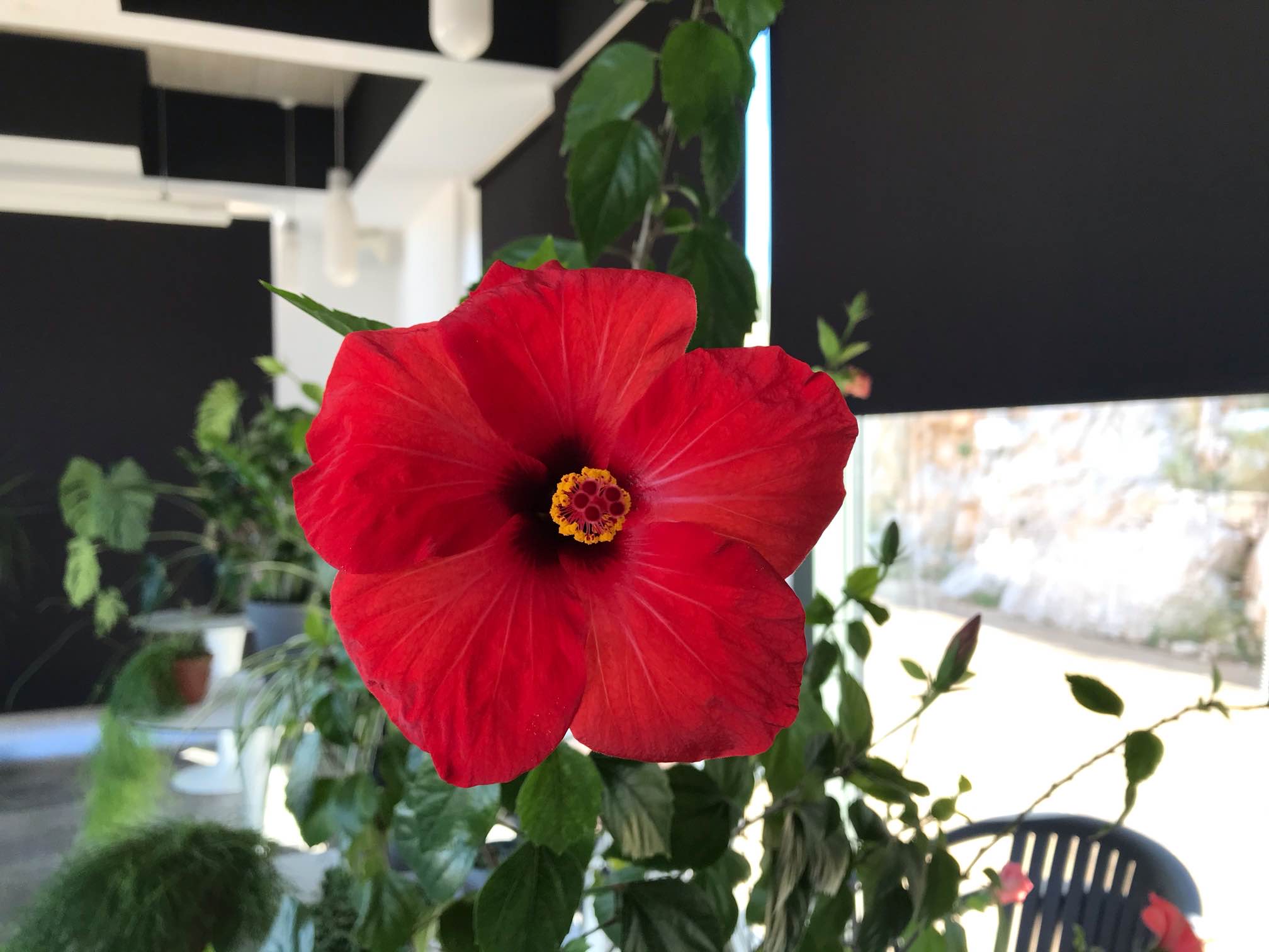 Sadnice prikupljene, vrt spreman - sadnja na Tvrđavi Barone može krenuti!